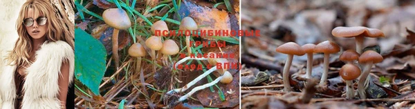метадон Нефтегорск