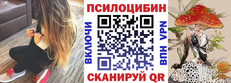Псилоцибиновые грибы Magic Shrooms Боготол